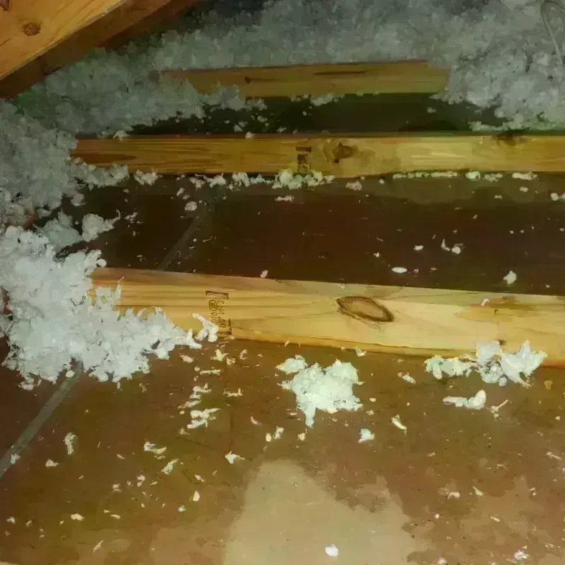 Attic Water Damage in New London, NH